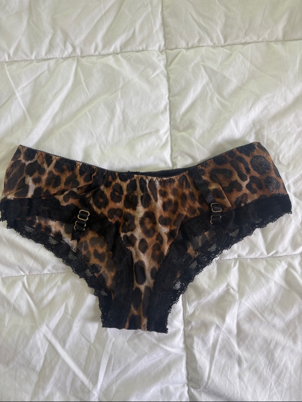 Express Leopard Print Lace Trim Hipster Panty - Black & Brown